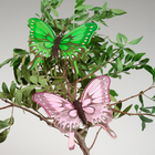 Бабочка для декора и флористики, на прищепке, пластиковая, микс, 1 шт., 9 х 8 х 1 см - фото 6645814