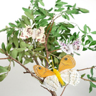 Бабочка для декора и флористики, на прищепке, МИКС, пластиковая, 1шт., 10 х 10 см - фото 4262506