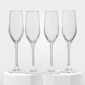 Набор бокалов для шампанского «Время дегустаций. Шампань», 160 мл, 4 шт