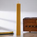 Свеча из вощины с полынью, 2,2×21 см Свеча из вощины с полынью, 2,2×21 см