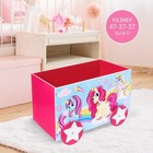 Container-box "Pony" color is pink