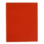 Бизнес-блокнот А4, 96 листов "Премиум", обложка из искусственной кожи, оранжевый - фото 6647948
