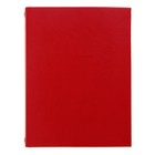 Тетрадь на кольцах А5, 120 листов «Премиум», искусственная кожа, красная - фото 7222980