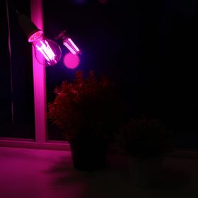 {{photo.Alt || photo.Description || 'Лампа светодиодная REV LED FILAMENT GARDEN, A60, 7 Вт, Е27, 504 Лм, для растений'}}