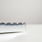 Коробочка для печенья с PVC крышкой, серебрянная, 25 х 25 х 3 см 4588944