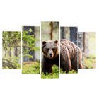 Модульная картина "Медведь в лесу" (2-25х50, 2-25х67, 25х80 см) 80х140 см Модульная картина "Медведь в лесу" (2-25х50, 2-25х67, 25х80 см) 80х140 см