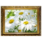 Алмазная мозаика «Ромашки» 29,5×20,5 см, 25 цветов - фото 127154469