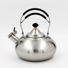 Чайник из нержавеющей стали со свистком «Султан», 2,8 л, капсулированное дно, цвет МИКС - фото 752426