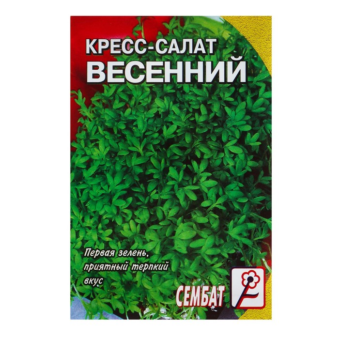 Купить Семена Салатов В Интернет Магазине