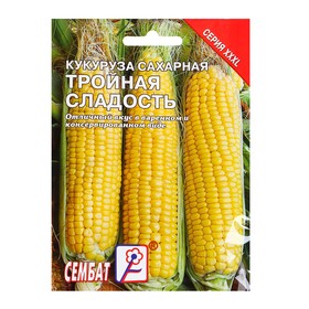 Семена ХХХL Кукуруза сахарная "Тройная Сладость", 25 г