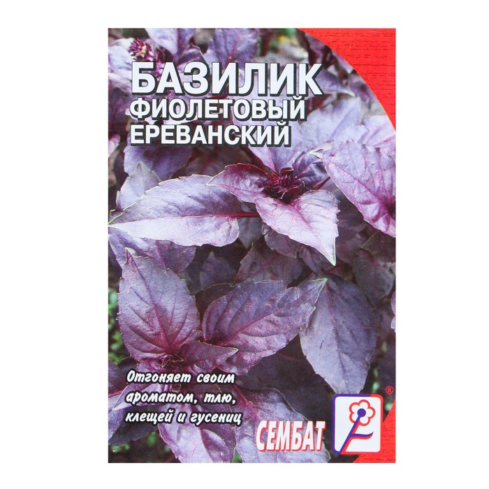 Семена Базилик фиолетовый Ереванский, 0,2 г (11 шт) - РусЭкспресс