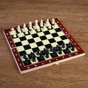 Шахматы "Тонт", 24 х 24 см