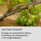 Круг приствольный, d = 0,9 м, из кокосового полотна, набор 5 шт., «Мульчаграм» 4692971