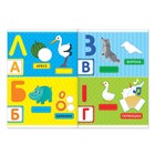 100 наклеек «Для самых любознательных», формат А4, 2 шт. по 16 стр. - фото 800286042