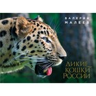 Дикие кошки России: иллюстрированный авторский фотоальбом. Малеев В. Г. Дикие кошки России: иллюстрированный авторский фотоальбом. Малеев В. Г.