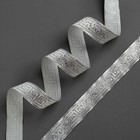 Лента жаккардовая, 22 мм × 10 м, цвет серебро Лента жаккардовая, 22 мм × 10 м, цвет серебро