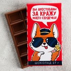 Шоколад «Вы арестованы», 27 г Шоколад «Вы арестованы», 27 г