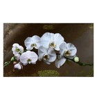 Картина-холст на подрамнике "Белые орихидеи" 60х100 см - фото 959385