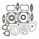 Комплект прокладок с сальниками, Arctic Cat, OEM 3006-493, 3006-516, 3003-335, 3006-490 4435052 - фото 90513