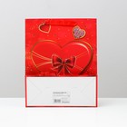 Пакет подарочный ламинированный, 26 x 32 x 12 см 4674718