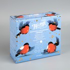 Гирлянда «Бахрома» 2.4 × 0.9 м с насадками «Сердце», IP20, прозрачная нить, 186 LED, свечение белое, 8 режимов, 220 В 4356977