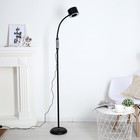 Торшер "Шади" LED 10Вт черный 33х22х164 см. Торшер "Шади" LED 10Вт черный 33х22х164 см.