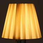 Абажур прищепка 15х15х13 см. - фото 3352853 Абажур прищепка 15х15х13 см. - фото 3352853