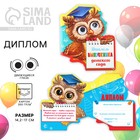 Диплом "Выпускника детского сада", сова с глазками, 14,5 х 17 см Диплом "Выпускника детского сада", сова с глазками, 14,5 х 17 см