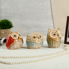 Souvenir ceramic piggy Bank "Sovushka" fireclay gloss 3 PCs set 10х8х10 cm Souvenir ceramic piggy Bank "Sovushka" fireclay gloss 3 PCs set 10х8х10 cm