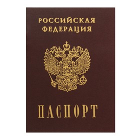 Записная книжка А6, 16 листов, "Паспорт. Россия", обложка мелованный картон, матовая ламинация, 3D-фольга, блок 80 г/м²
