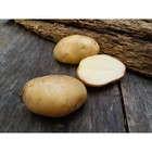 Семенной картофель "Голубизна" 2 кг Супер Элита, р/р 28/55 - фото 7987215