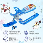 Снегокат «Тимка спорт 2 Ми-ми-мишки», ТС2/ММ1, цвет голубой/серый - фото 8978