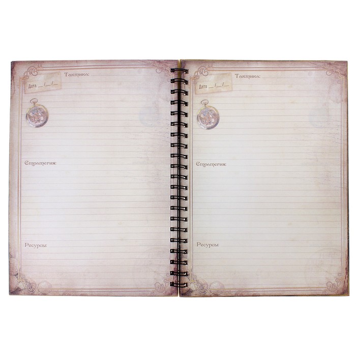 Ежедневник на гребне "Бизнес-план", твёрдая обложка, А5, 96 листов