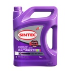 Антифриз Sintec "Multi Freeze", 5 кг, (Акция 5 кг по цене 4 кг) 4768582 - фото 91117