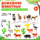 Развивающий набор с карточками «Домашние животные», по методике Домана