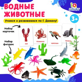Развивающий набор с карточками «Водные животные», по методике Домана в Донецке