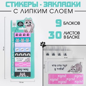 Набор стикеров закладок "Котик", 9 шт, 30 л 4634739