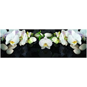 Кухонный фартук ХДФ Белая орхидея EP 19 2440х610х3 мм