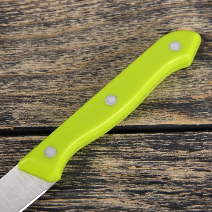 Нож "Палитра" лезвие 8 см, цвета МИКС