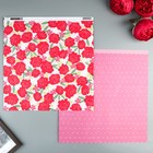 Бумага для скрапбукинга Pink Paislee - Коллекция Lucky Us - Paper 2 Бумага для скрапбукинга Pink Paislee - Коллекция Lucky Us - Paper 2