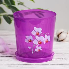 Горшок для орхидей с поддоном «Декор», 1,8 л, цвет прозрачно-фиолетовый