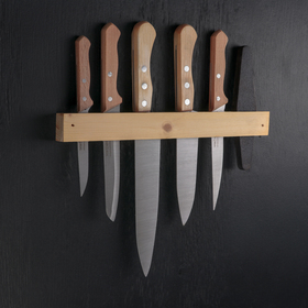 {{photo.Alt || photo.Description || 'Набор ножей «Для мясника», 5 шт, на деревянном держателе'}}