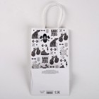 Пакет подарочный крафт «С Днём защитника Отечества», 21 х 12 х 9 см 4515425