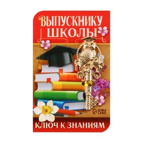 Ключ на открытке «Выпускнику школы», 5,1 х 8,2 см