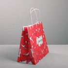 Пакет крафтовый «I love you», 22 × 25 × 12 см 4515258