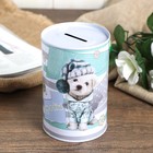 Piggy Bank metal "Fashion dog" MIX 12х8х8 cm Piggy Bank metal "Fashion dog" MIX 12х8х8 cm