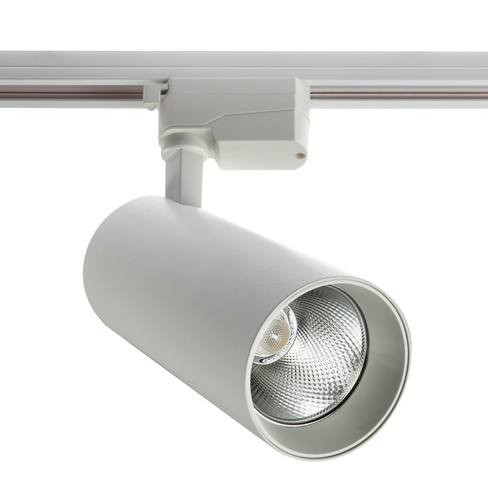 {{productViewItem.photos[photoViewList.activeNavIndex].Alt || productViewItem.photos[photoViewList.activeNavIndex].Description || 'Трековый светильник Luazon TSL-104, 24 deg, 30 W, 2400 Lm, 4000 K, дневн. бел., корпус Белый'}}