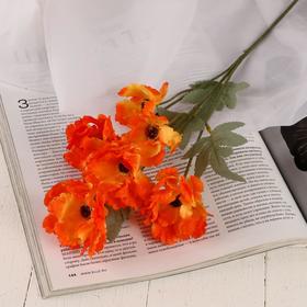 Цветы искусственные "Космея махровая" 8*58 см, оранжевый