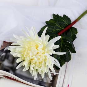 Artificial flowers "Astra peony" 17*63 cm, white