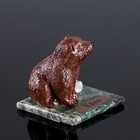 Сувенир "Бурый медведь", 5х5х4 см, змеевик, гипс, микс | Иконка | vlarni-land